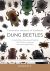 Dung Beetles in South Africa, Botswana and Namibia cover