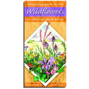 Illustrated guide to the Wildflowers of northern South Africa
