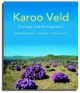 Karoo Veld Ecology and Management